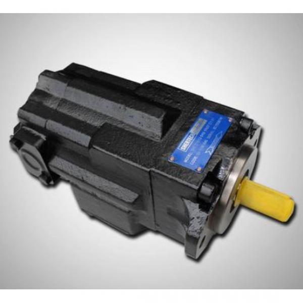 Daikin RP08A2-07-30RC Rotor Pumps #1 image