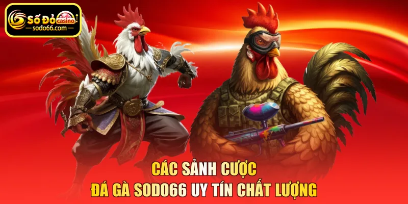 Các sảnh cược đá gà SODO66 uy tín chất lượng