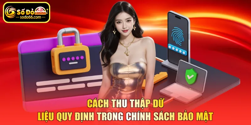 Cách thu thập dữ liệu quy định trong chính sách bảo mật