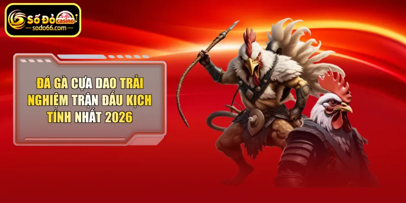 Đà gà cựa dao trải nghiệm trận đấu kịch tính nhất