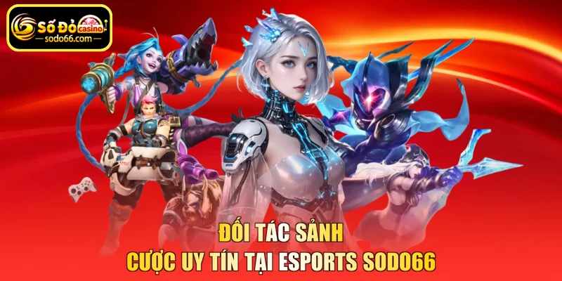 Đối tác sảnh cược uy tín tại esports SODO66
