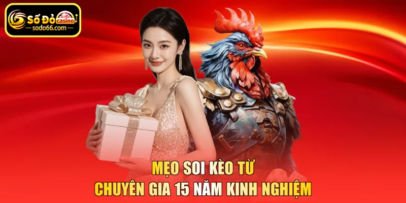 Mẹo soi kèo từ chuyên gia 15 năm kinh nghiệm