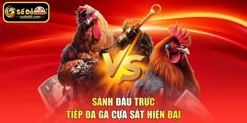 Sảnh đấu trực tiếp đá gà cựa sắt hiện đại