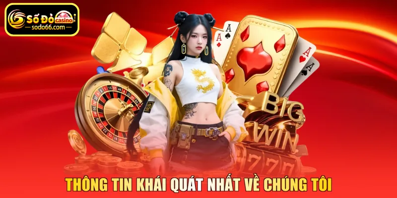 Thông tin khái quát nhất về chúng tôi